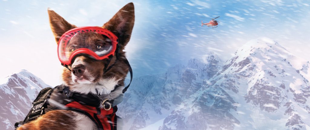 A dog wears goggles and a safety vest on a snowy mountain top