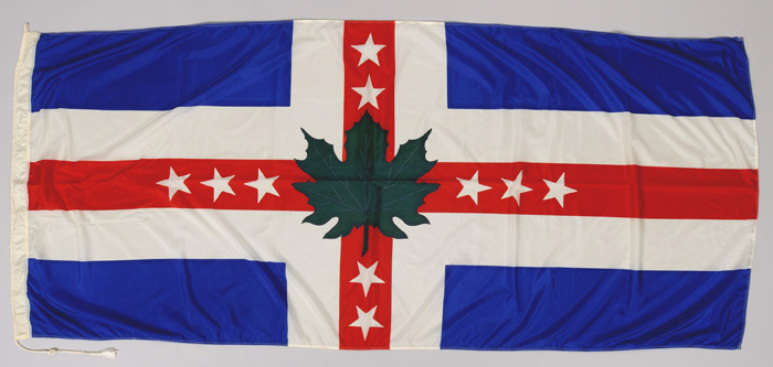 One multi-coloured, rectangular, nylon flag. 