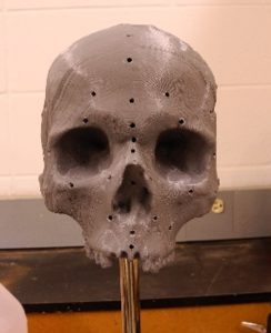 Front view of the plastic replica with holes drilled for tissue depth markers