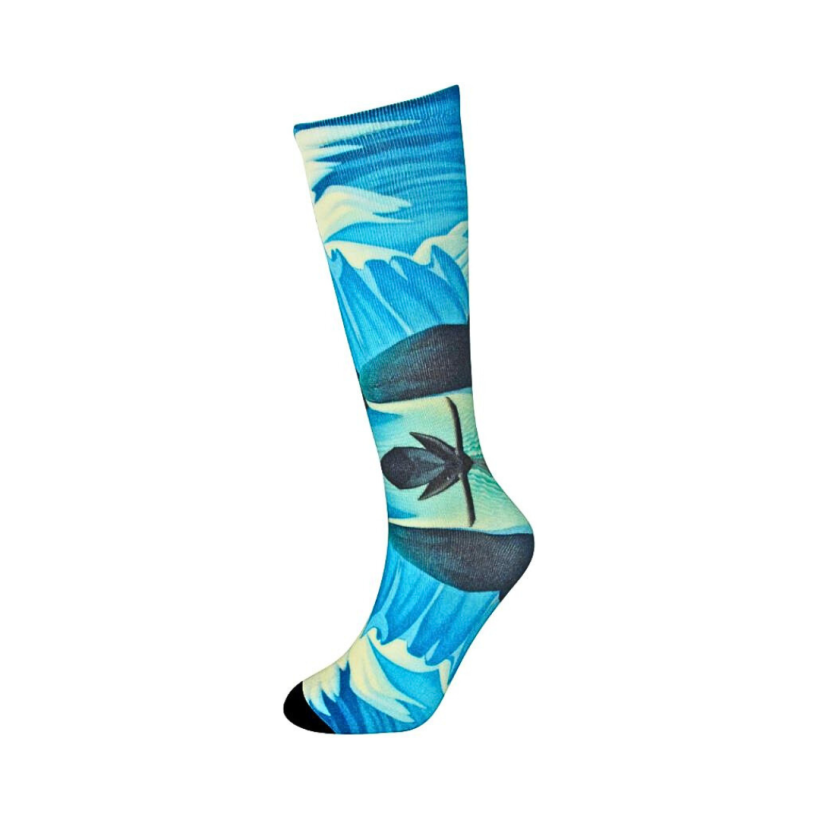 Lake & mountains socks by Lawren Harris