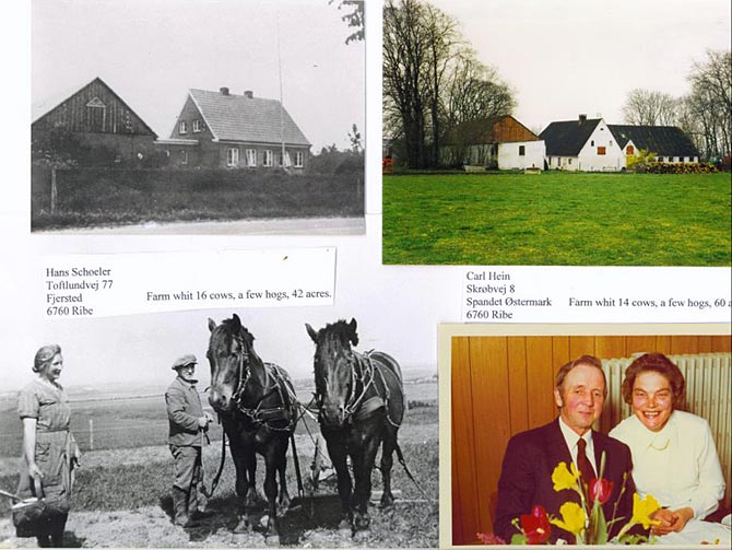 Two of the farms at which Chris Bennedsen worked as a child