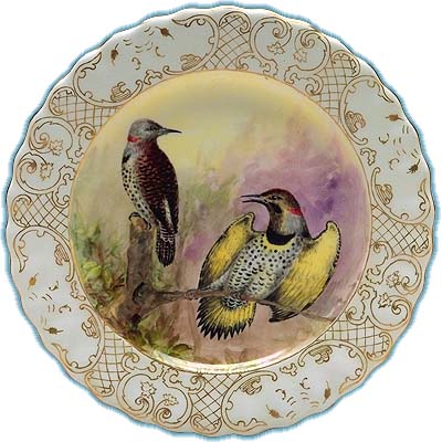 Gold-winged Woodpecker - PCD 3729-007