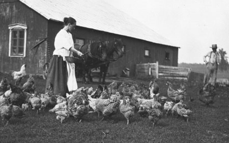 Mrs. Alfred Dessureault feeding poultry in the chicken yard, Sainte-Genevive-de-Batiscan, July 1921., © CMC/MCC, Edouard Zotique Massicotte, 50564