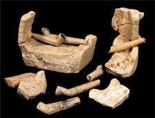 Tobacco pipes and fragments of a clay sagger
