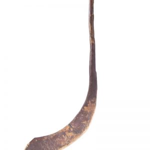 Early hockey stick