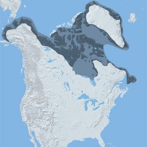 Map of North America, with a darker area in the Arctic showing where the first inhabitants lived 4,500 years ago