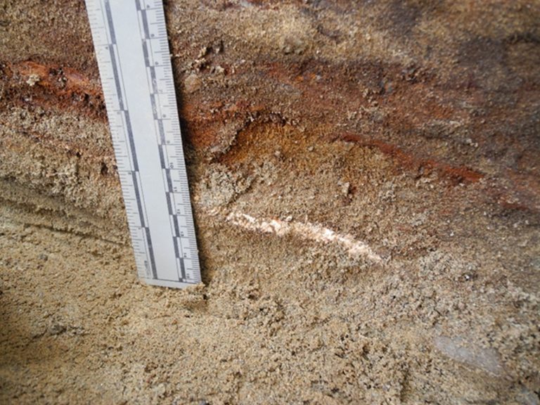 Close-up of a patch of red sand found on the coffin surface.