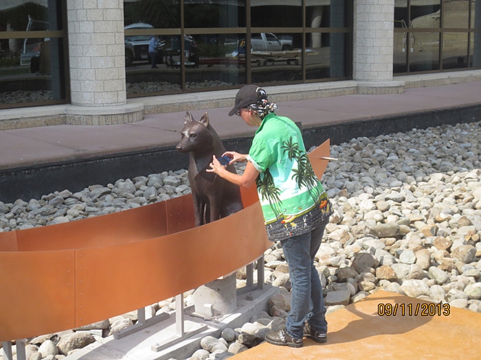 In Ottawa, at the Canadian Museum of History, a person is washing a cat on a boat.