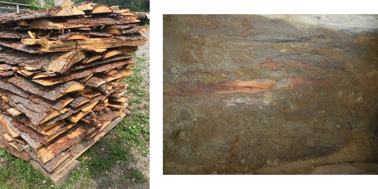 Image 1: Pine log squarings from the production of wooden plank. Image 2: The inside base of a Barrack Hill Cemetery coffin after the skeletal remains were removed.