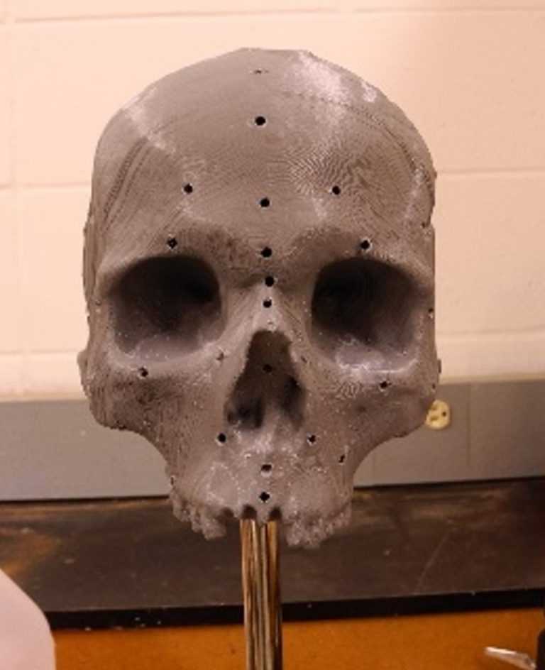 Front view of the plastic skull replica with holes drilled for tissue depth markers.