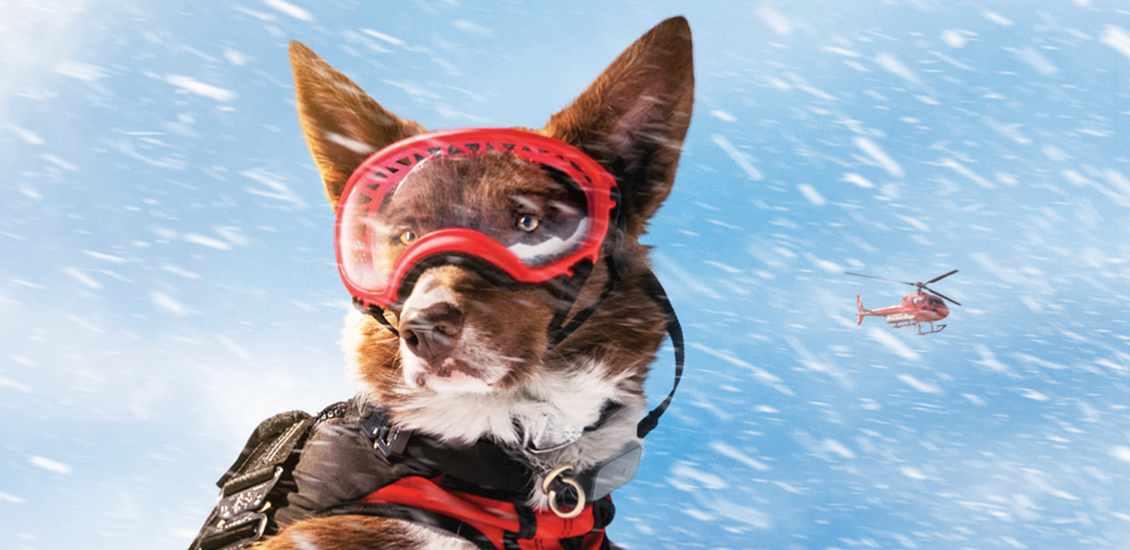 A dog wears goggles and a safety vest on a snowy mountain top